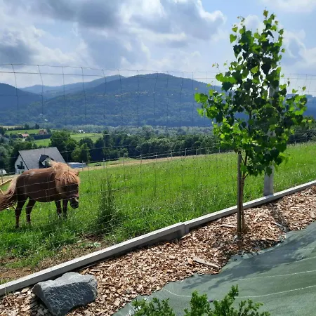 Domki- Limanowa, Z Balia I Sauna Limanowa
